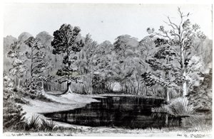 De Duivelsvijver in het Bois de Chanteloup, 1844 door Maurice Sand